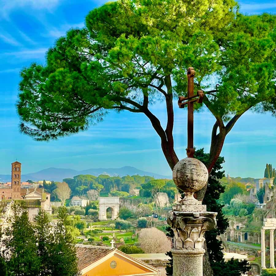 Roma: Visita guiada privada de 1 día por lo más destacado de la ciudad y el  Coliseo | GetYourGuide, image size:900x900