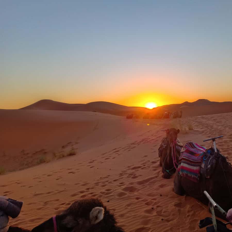 Galería de fotos para redes