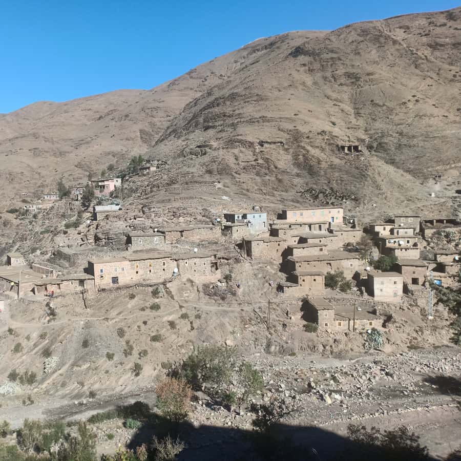 Galería de fotos para redes