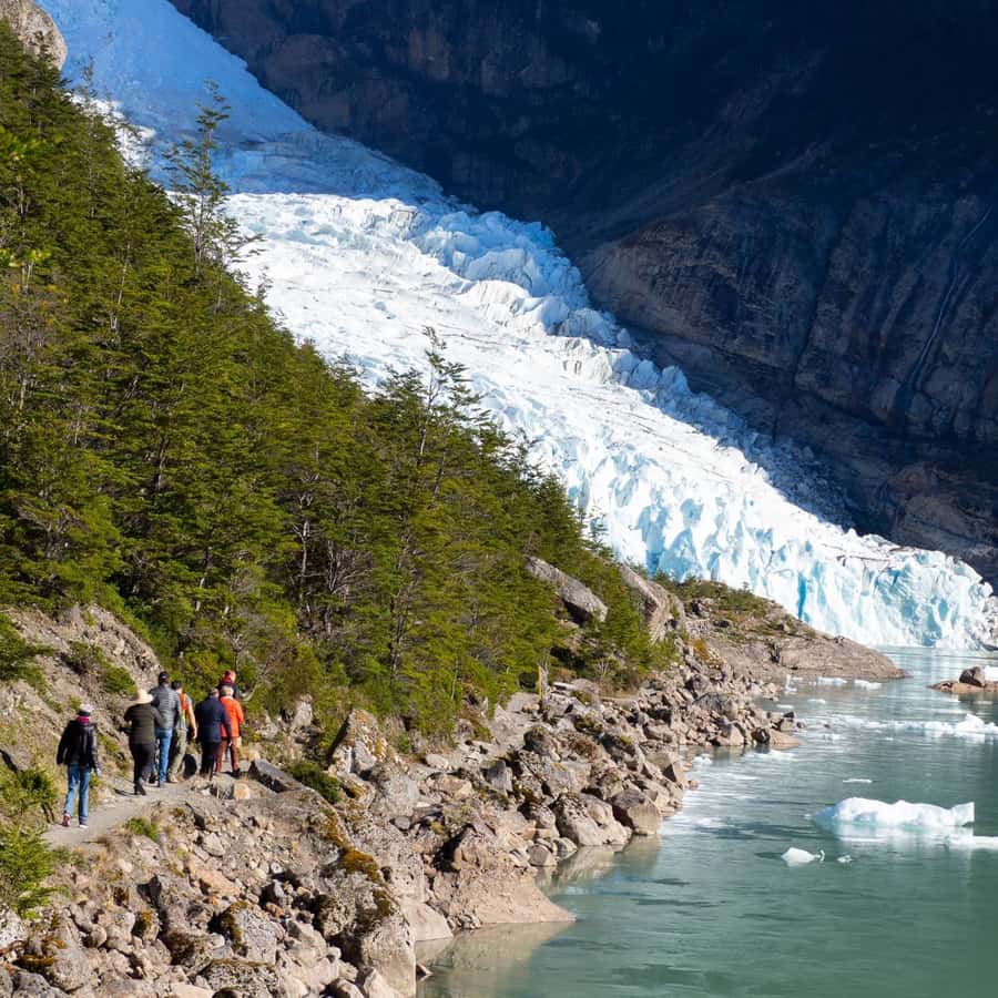 Galería de fotos para redes