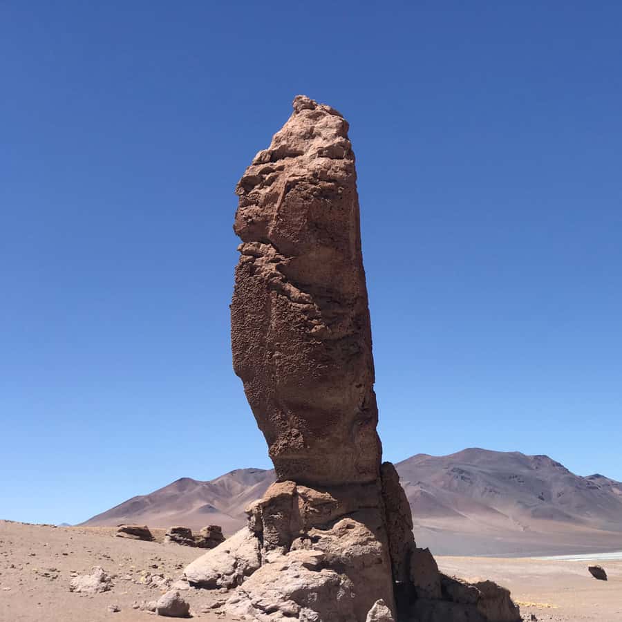 Galería de fotos para redes