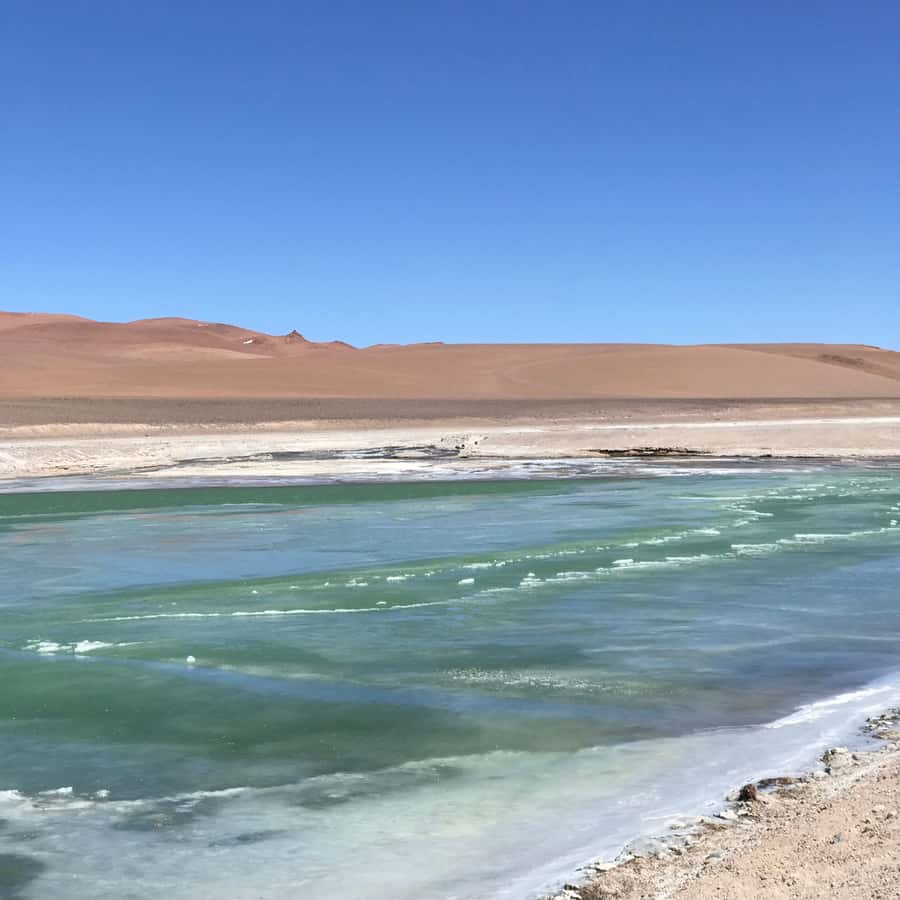 Galería de fotos para redes