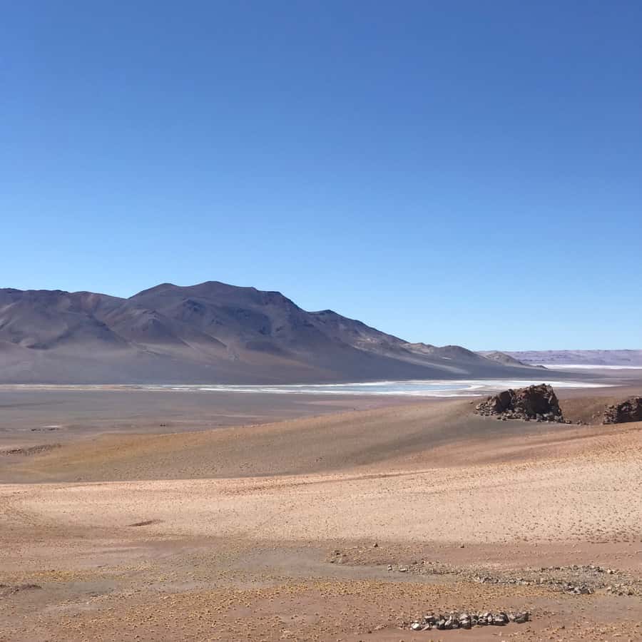 Galería de fotos para redes