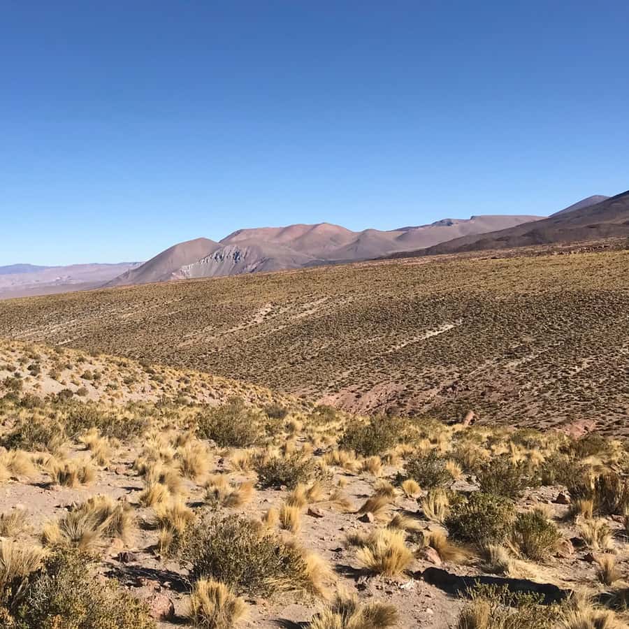 Galería de fotos para redes
