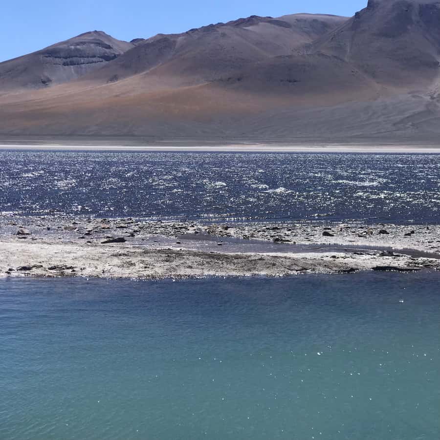 Galería de fotos para redes