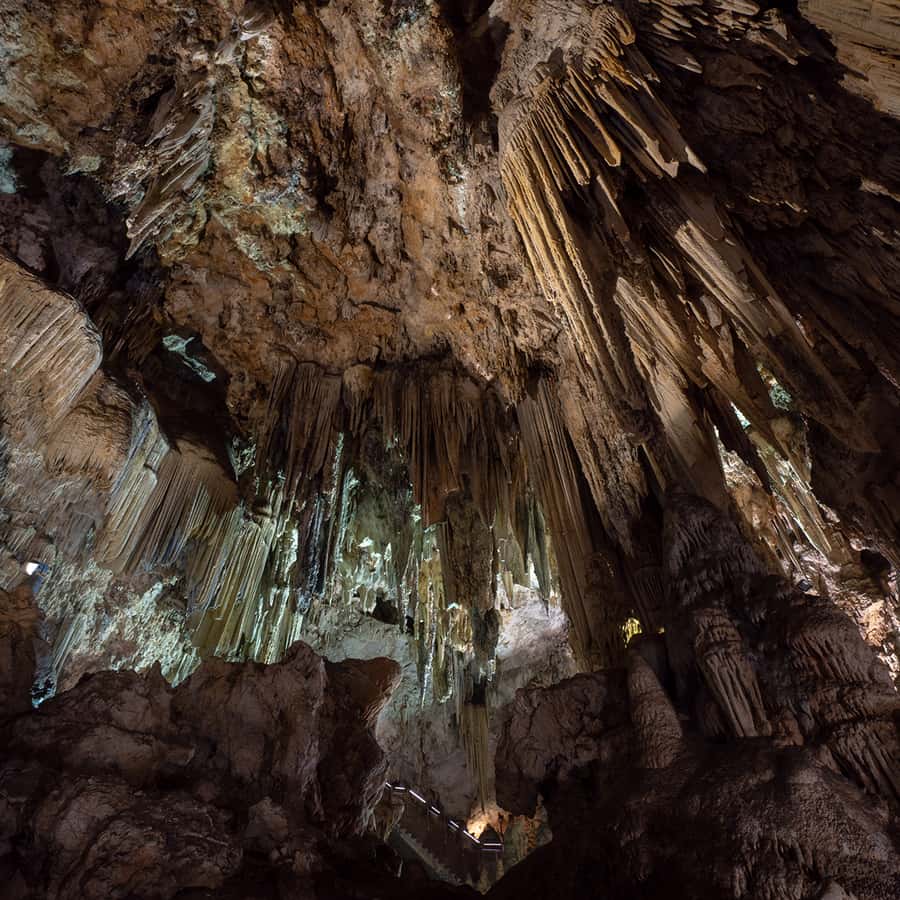 Galería de fotos para redes