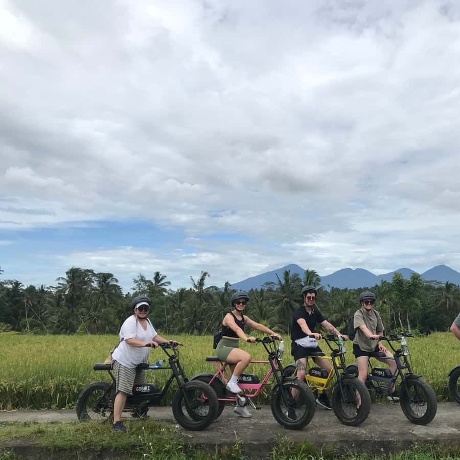 Ubud: Rice Terraces Villages Half-Day Fat Tire E-Bike Tour