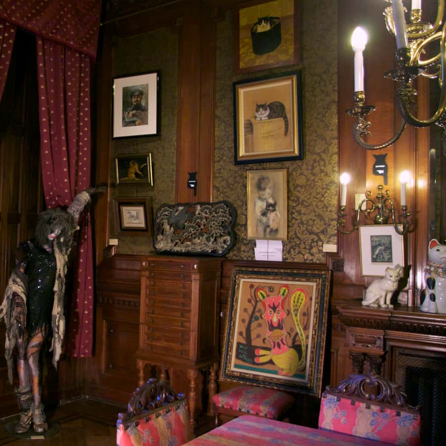 Galerie média