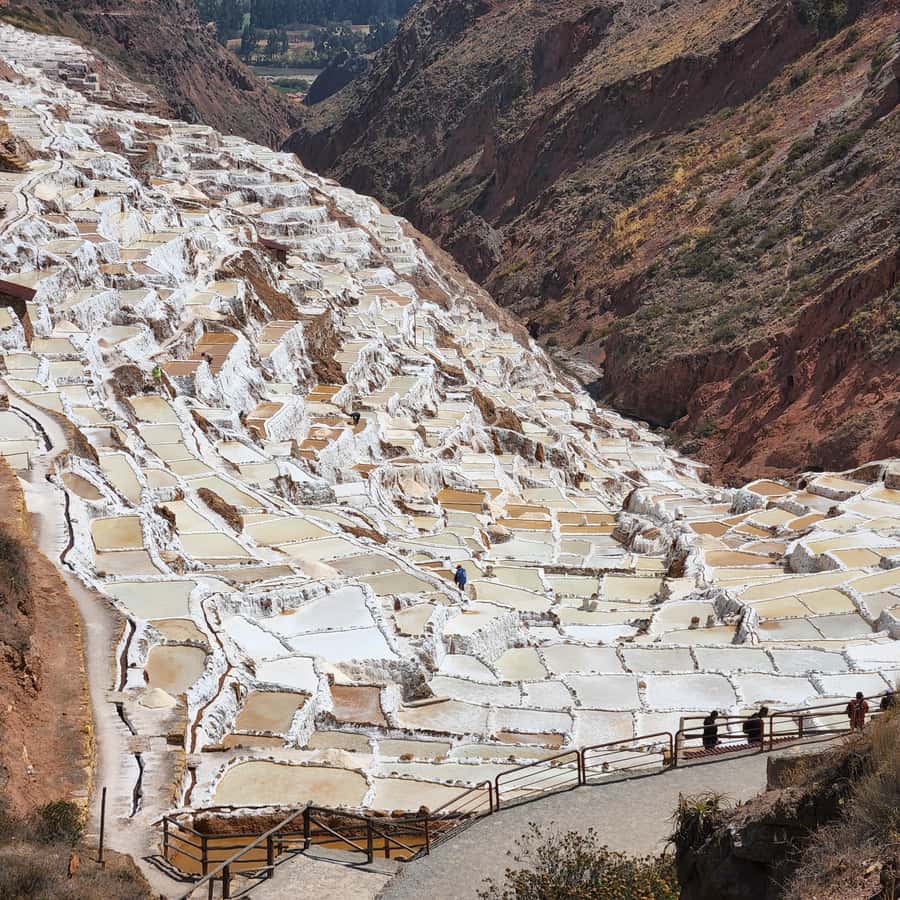 Galería de fotos para redes