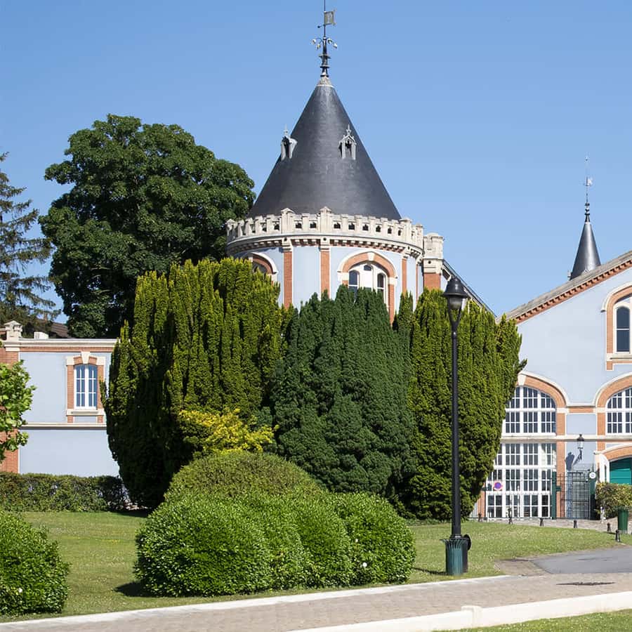 Full Day Pommery Small Group Tour GetYourGuide