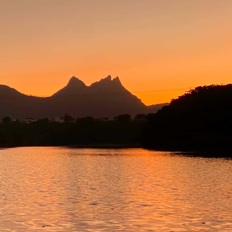 Galería de fotos para redes