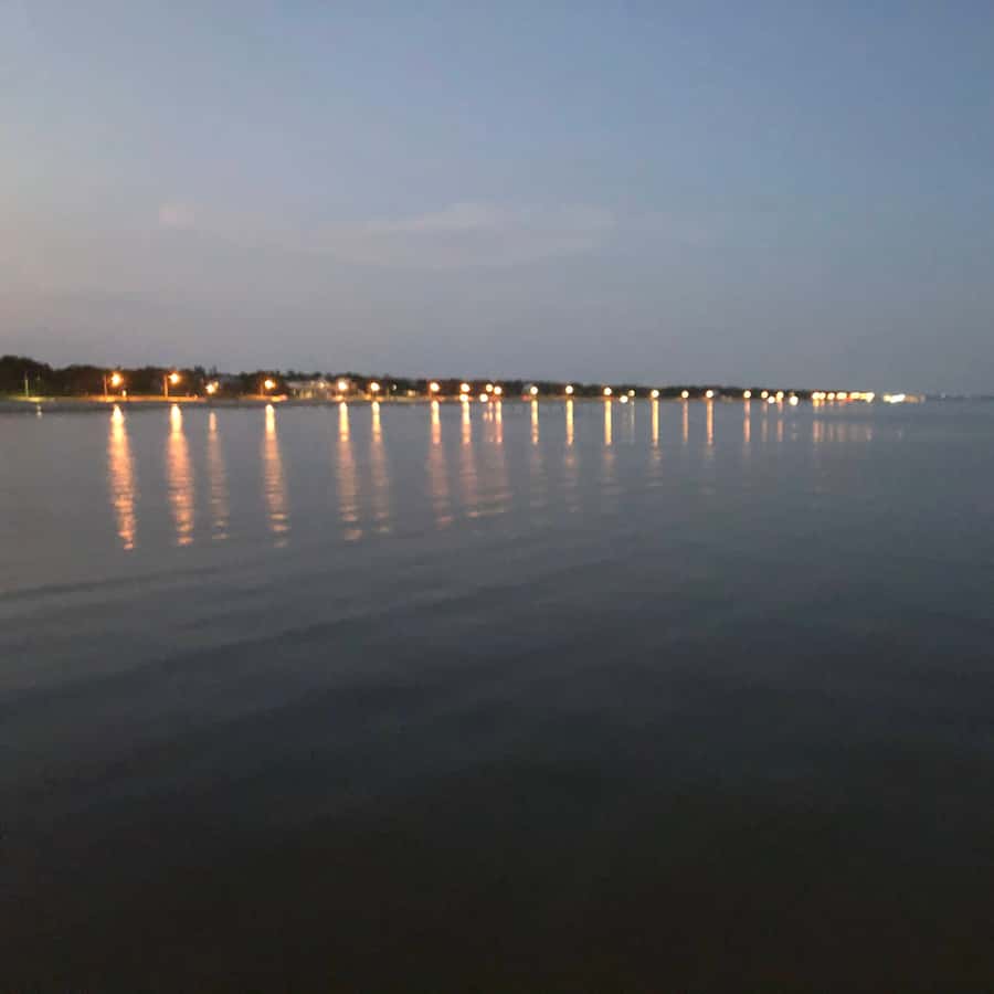 The Haunted Bayou Cruise