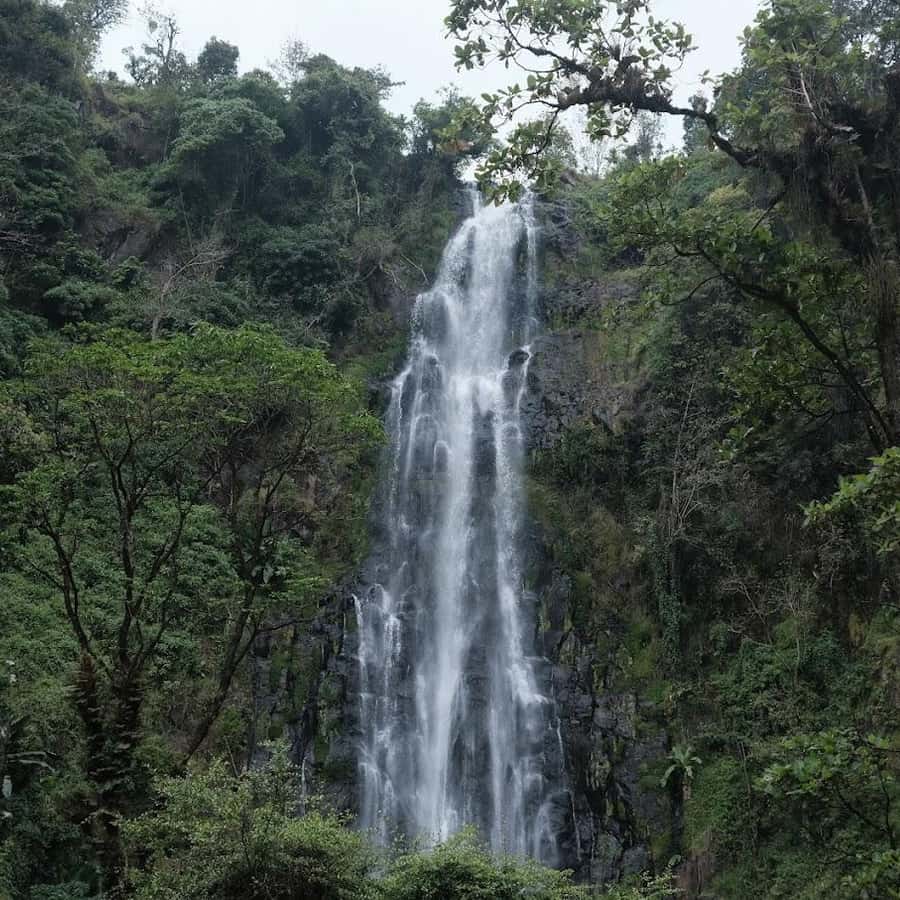 Galería de fotos para redes