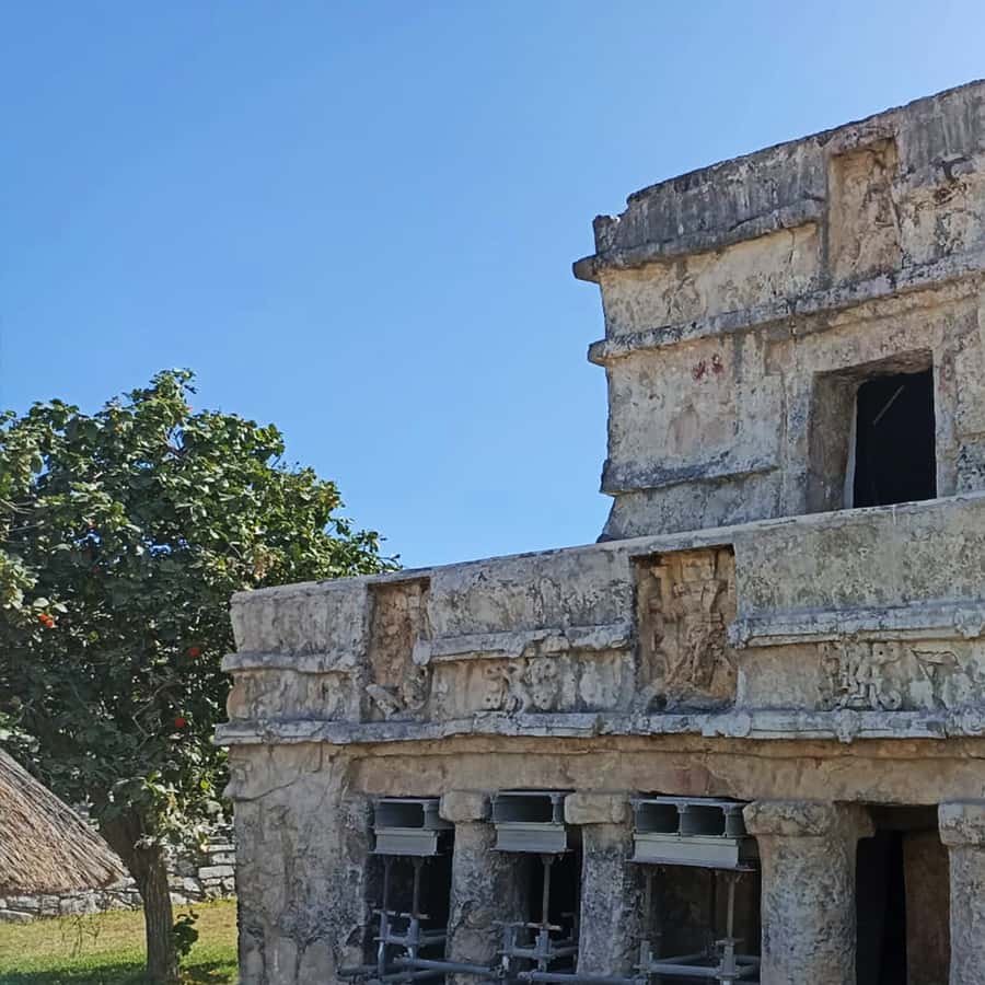 Galerie média