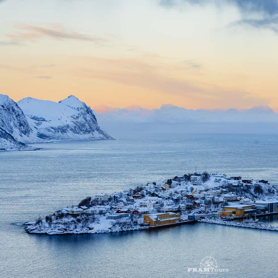 Online Clearance Love Island Season Watch Free Island Winter Watch