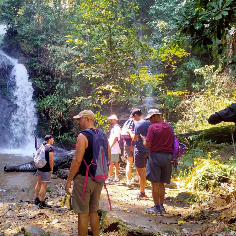 Chiang Mai: Suthep National Park Hiking DH Mountain Biking