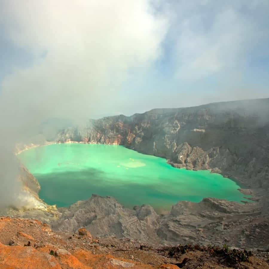 Qattiq qin porno rasmlar Yangi Shark Lagoon porno oyinlar