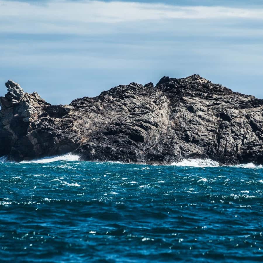 Galería de fotos para redes