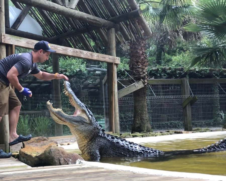 Orlando: Wild Florida Everglades Airboat & Wildlife Park