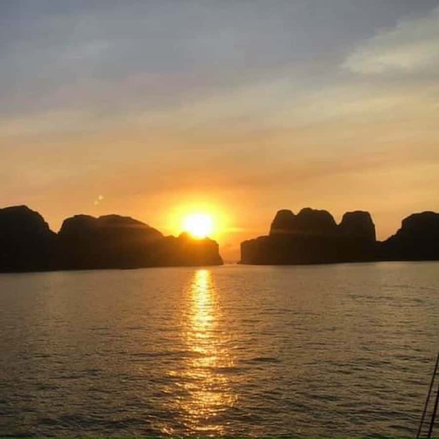 Galería de fotos para redes