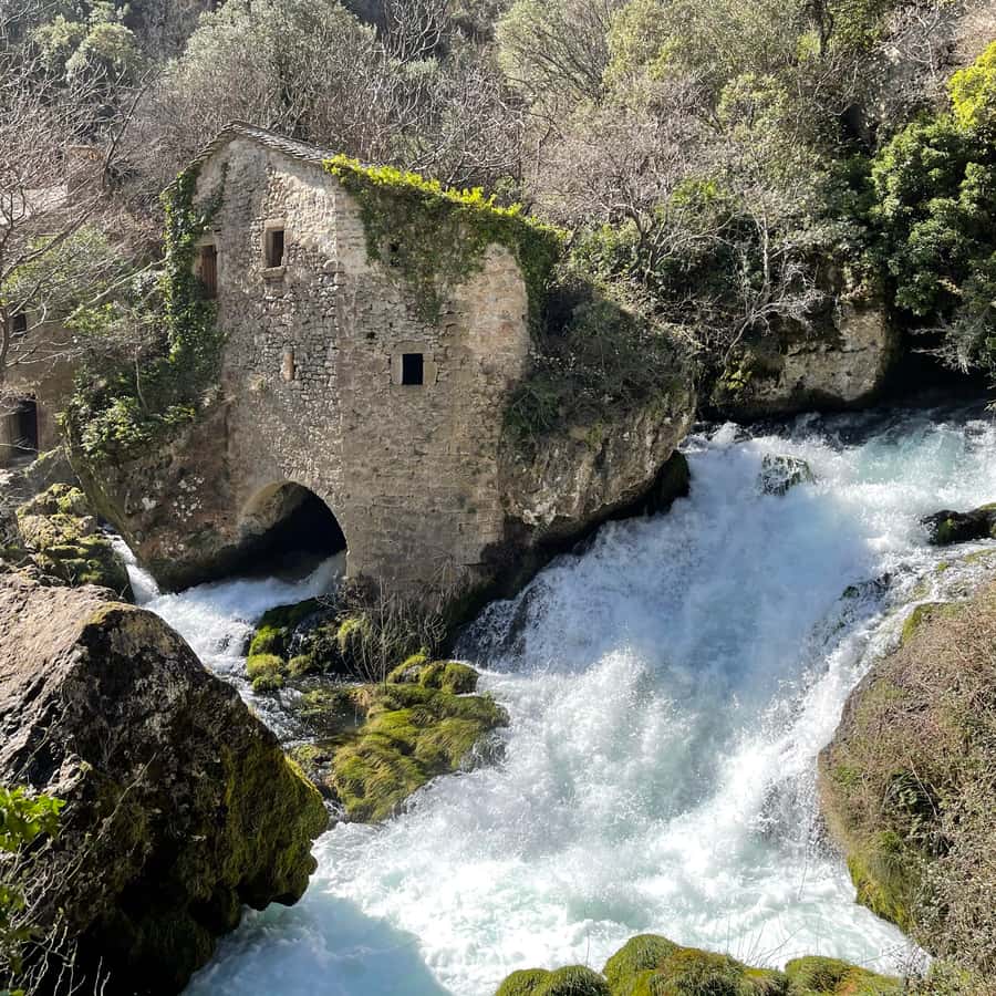 Galería de fotos para redes