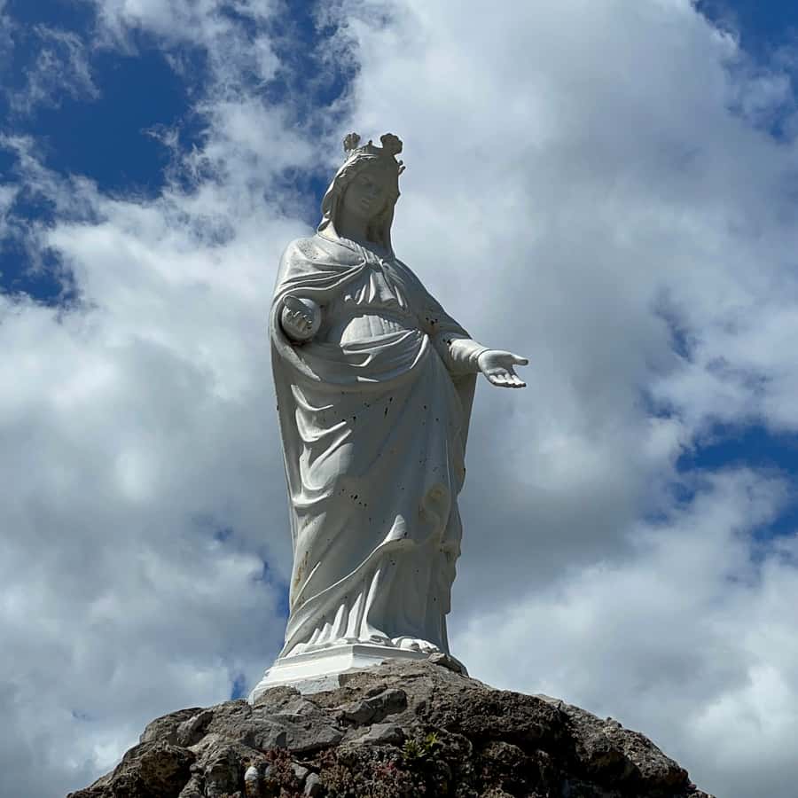 Galería de fotos para redes
