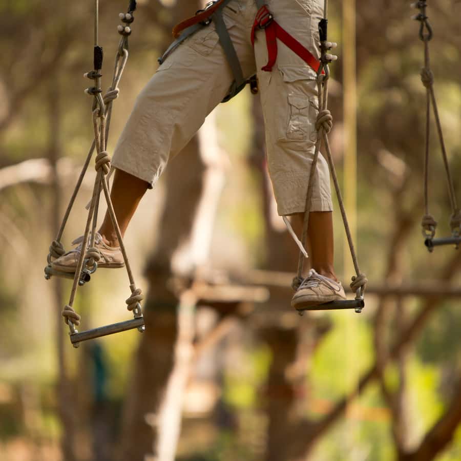 Mallorca: Adrenaline Tree Top Adventure Ticket de entrada