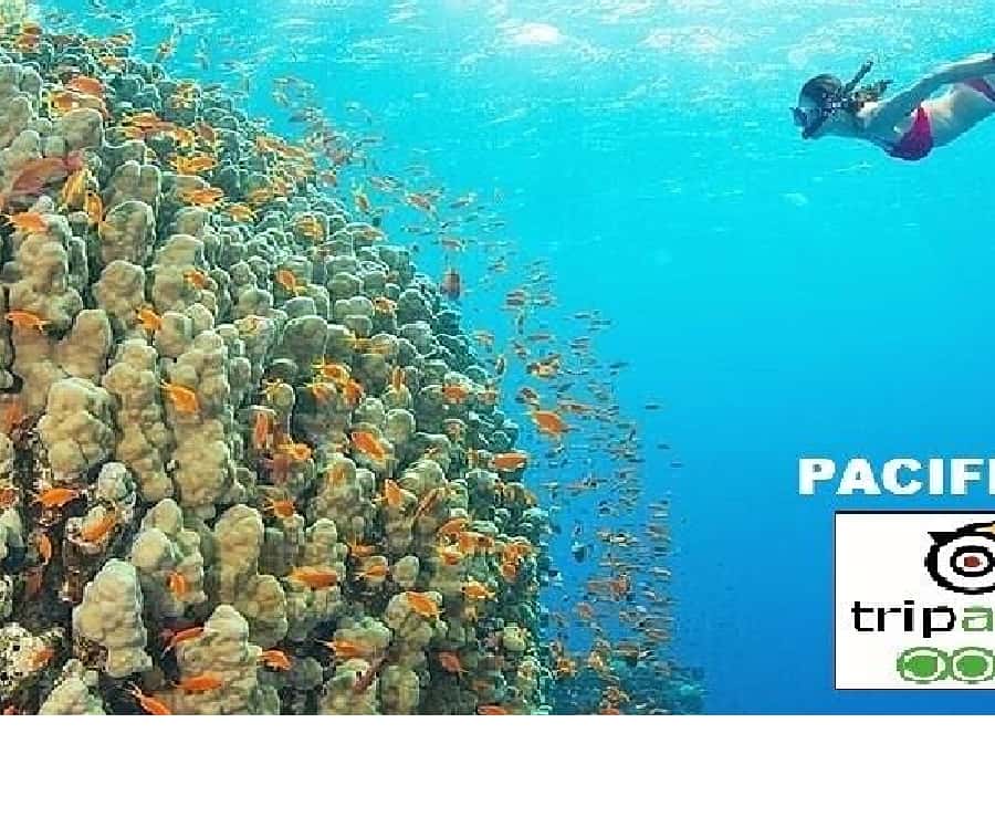 Galería de fotos para redes