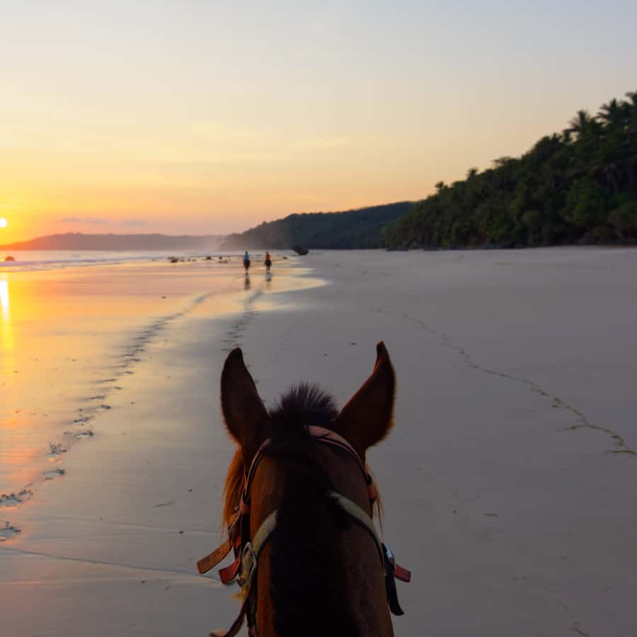 Palomino, Colombia: Horseback Riding Tour on the Beach