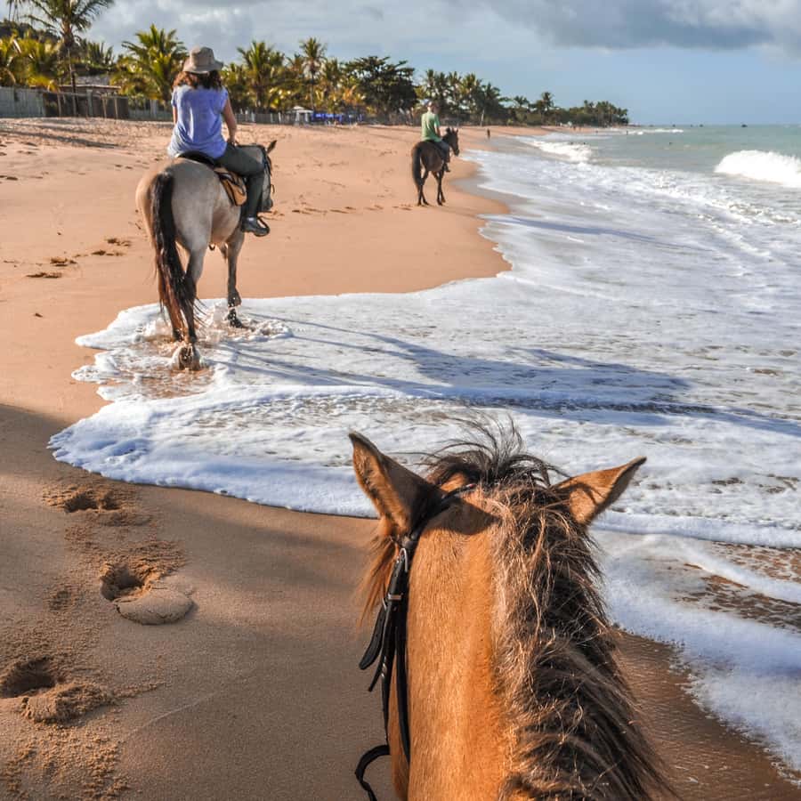 Palomino, Colombia: Horseback Riding Tour on the Beach