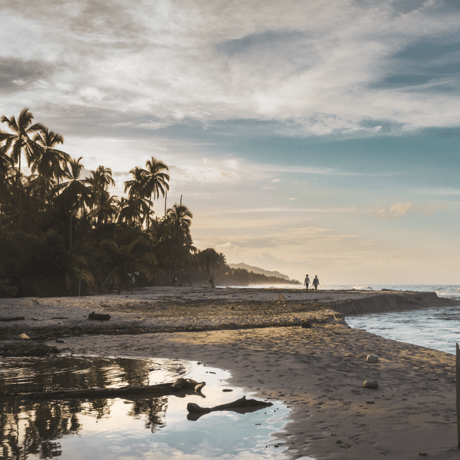 Palomino, Colombia: Horseback Riding Tour on the Beach
