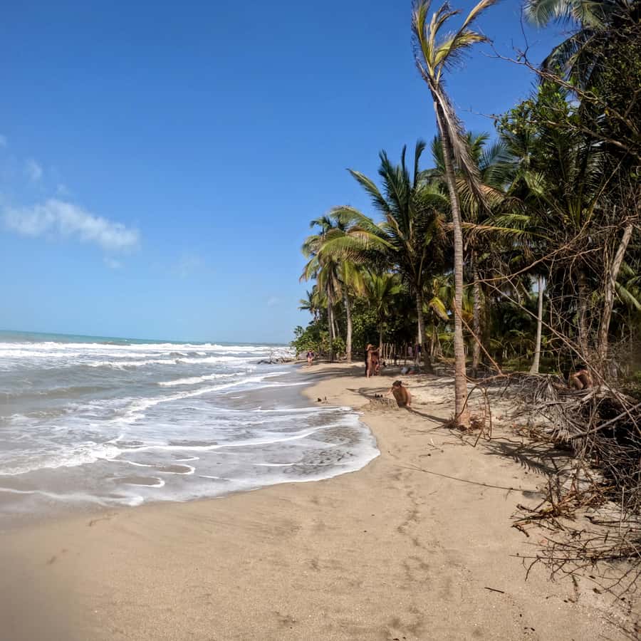 Palomino, Colombia: Horseback Riding Tour on the Beach