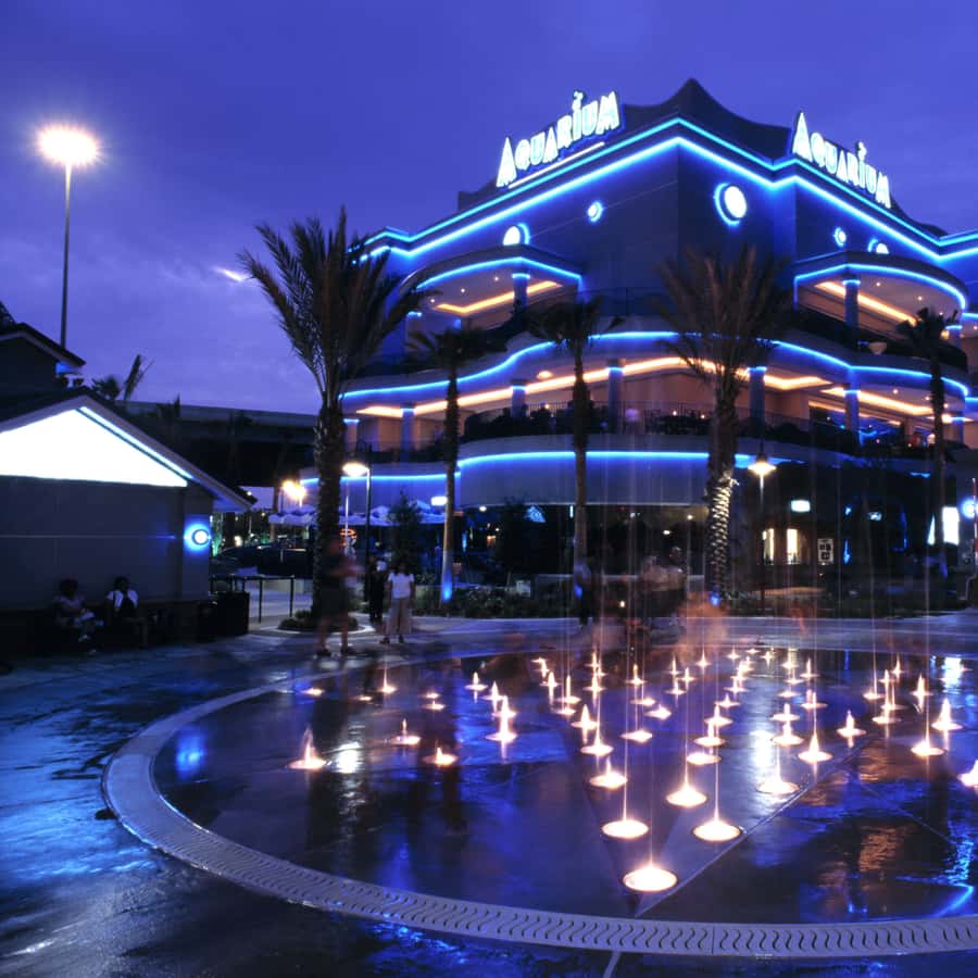Houston: Downtown Aquarium All Day Pass