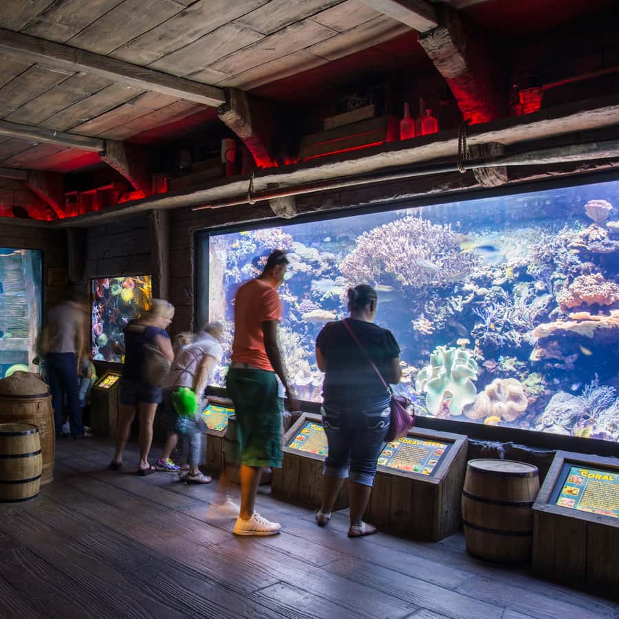 Houston: Downtown Aquarium All Day Pass