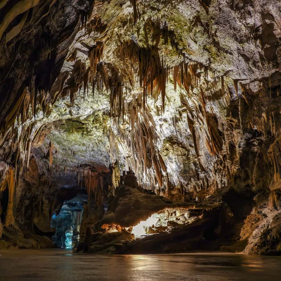 Galería de fotos para redes