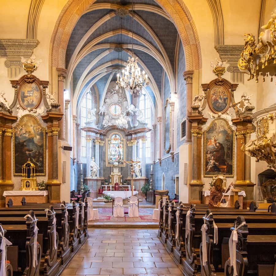 Galería de fotos para redes
