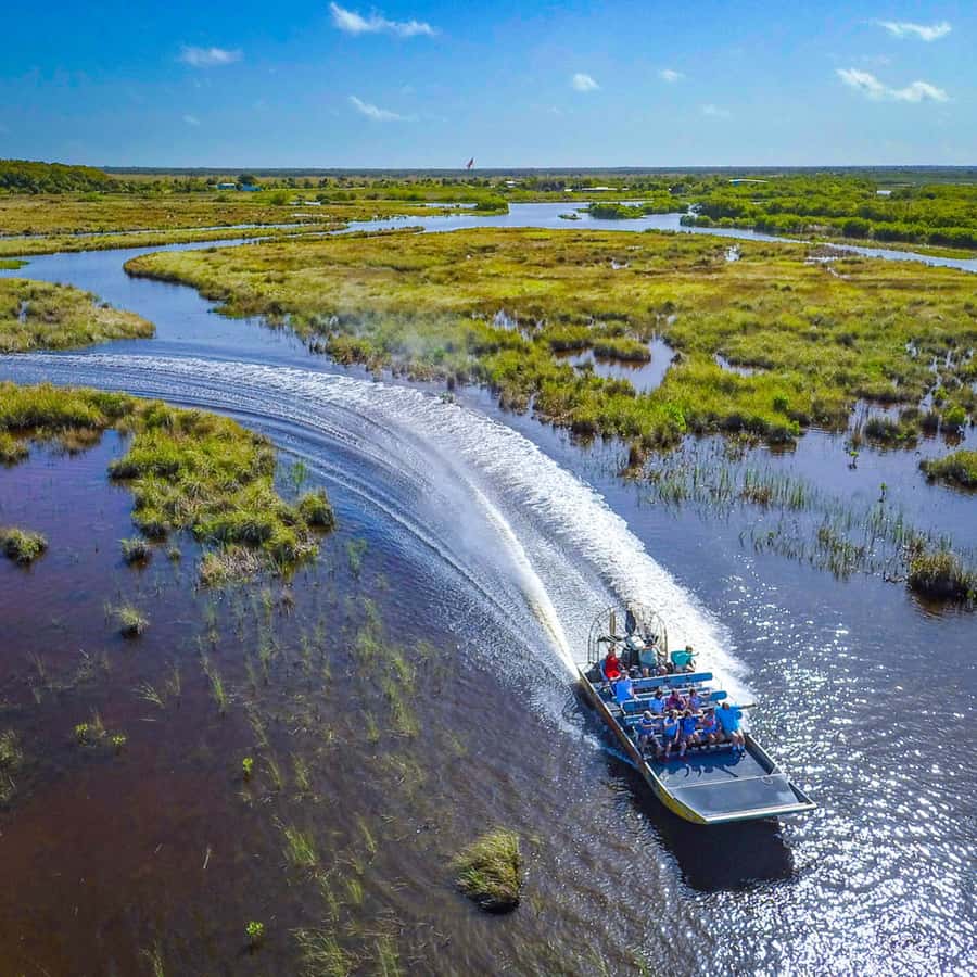 Orlando: Wild Florida Everglades Airboat & Wildlife Park