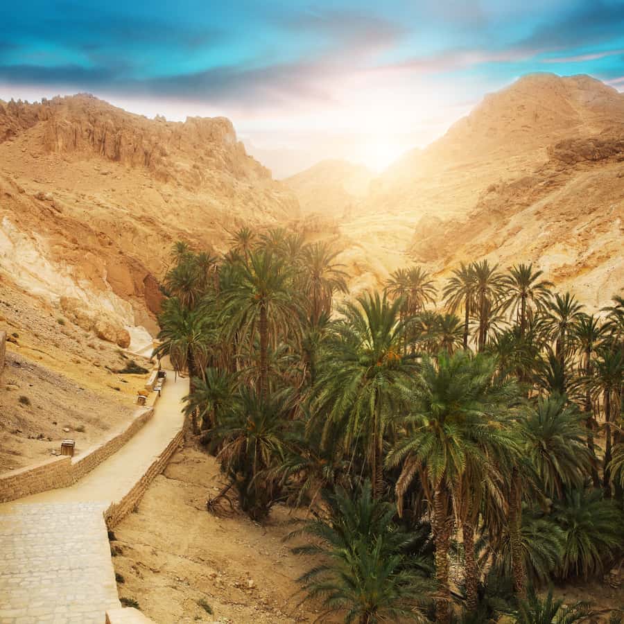 Kopeyanka bilan onlayn jinsiy aloqa