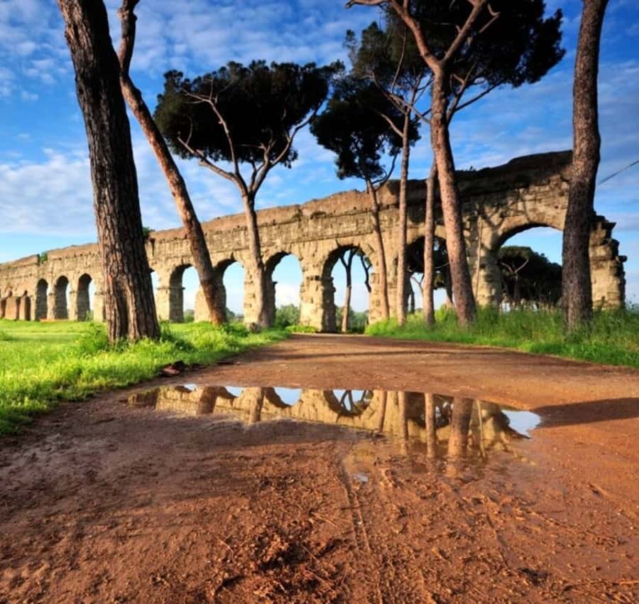 Galería de fotos para redes