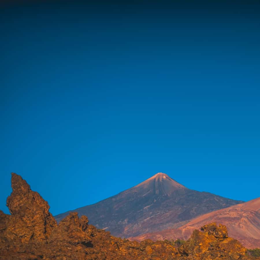 Galería de fotos para redes