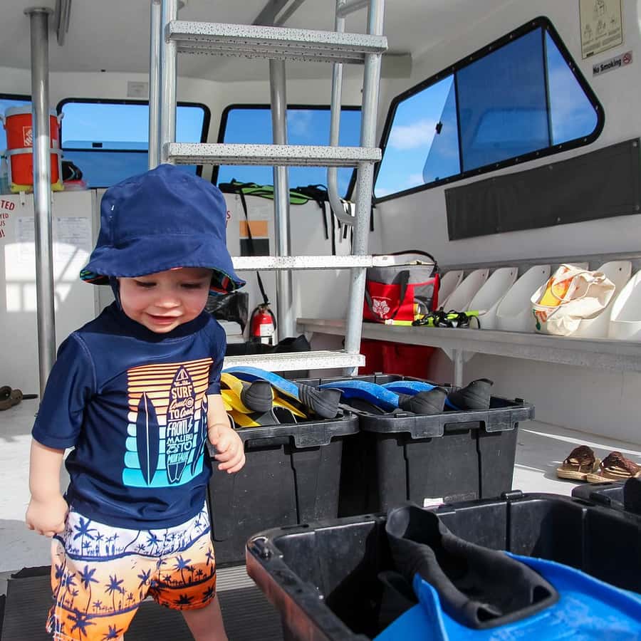 Destin: Snorkeling and Dolphin Watching Cruise