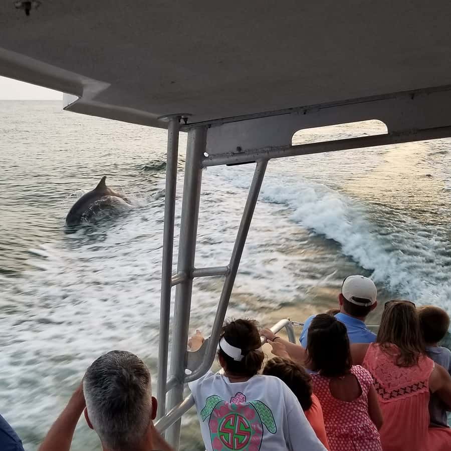 Destin: Snorkeling and Dolphin Watching Cruise