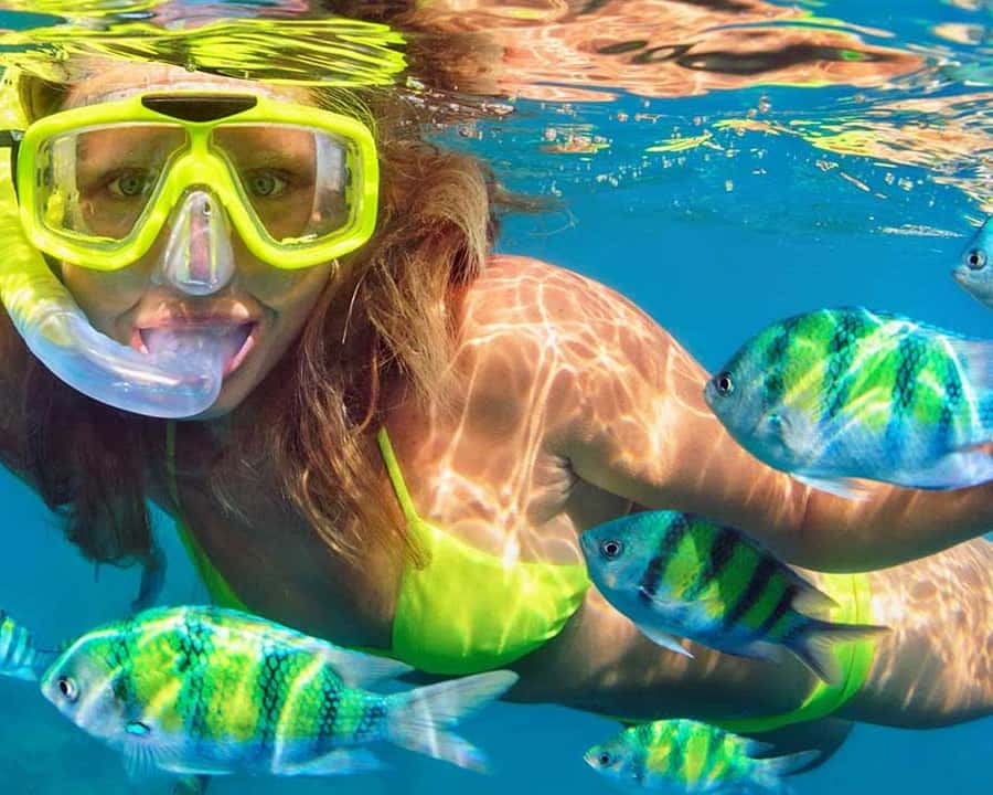 Destin: Snorkeling and Dolphin Watching Cruise