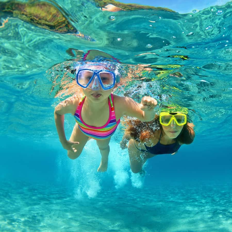 Destin: Snorkeling and Dolphin Watching Cruise