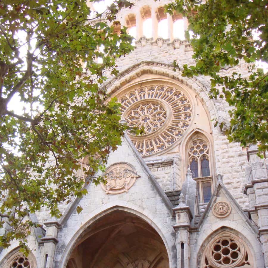 Galerie média