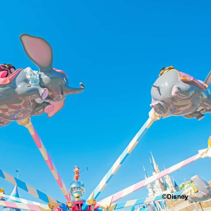 Tokyo Disneyland 1-Day Passport