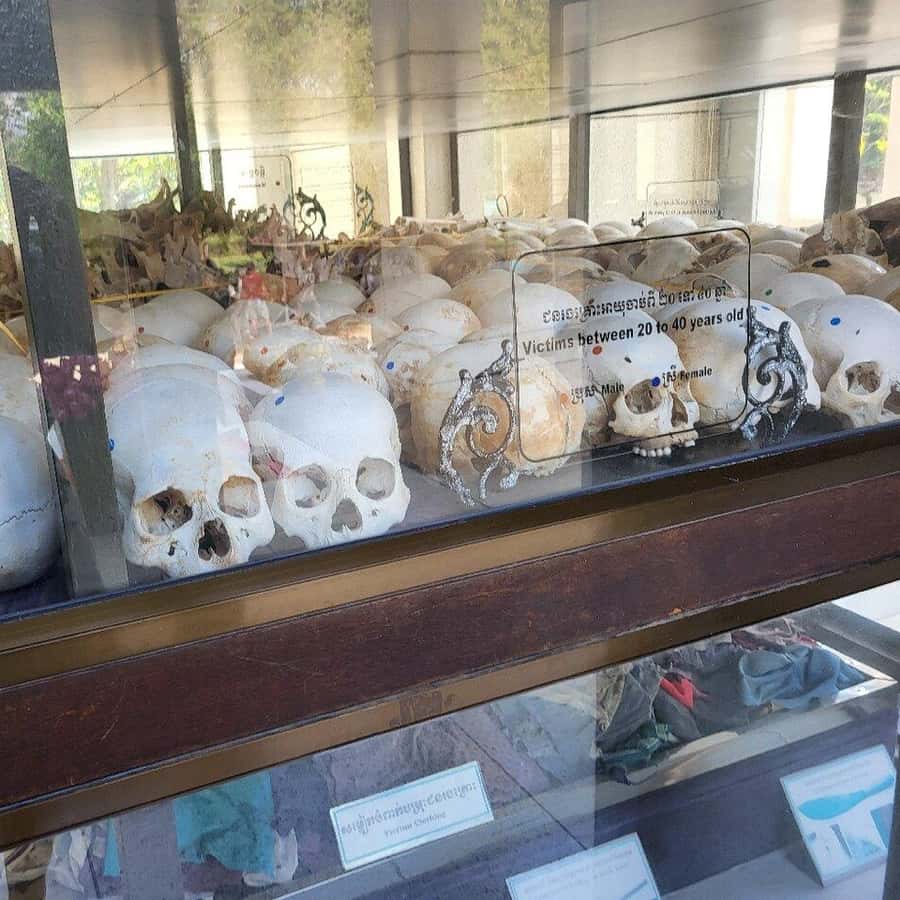 Colagem de mídia