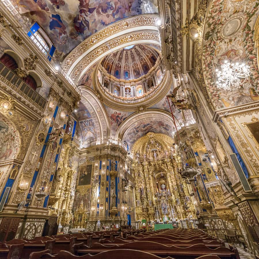 Galería de fotos para redes