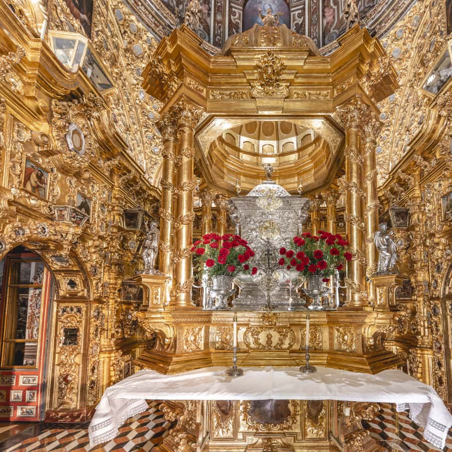 Galería de fotos para redes