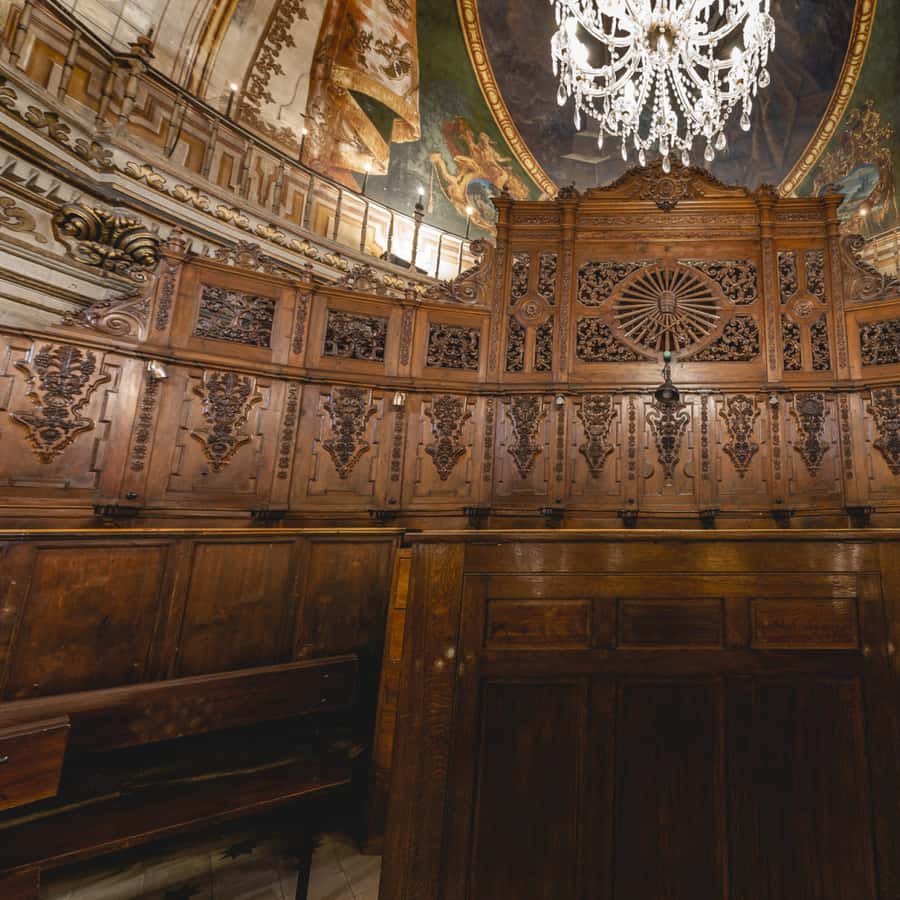 Galería de fotos para redes